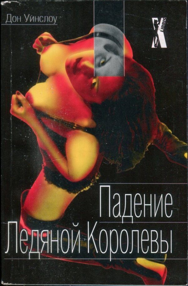 Обложка книги «Падение Ледяной Королевы»