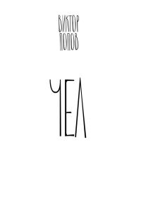 Обложка книги «Чел»