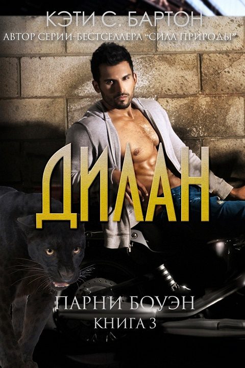 Обложка книги «Дилан»