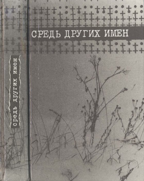Обложка книги «Средь других имен»
