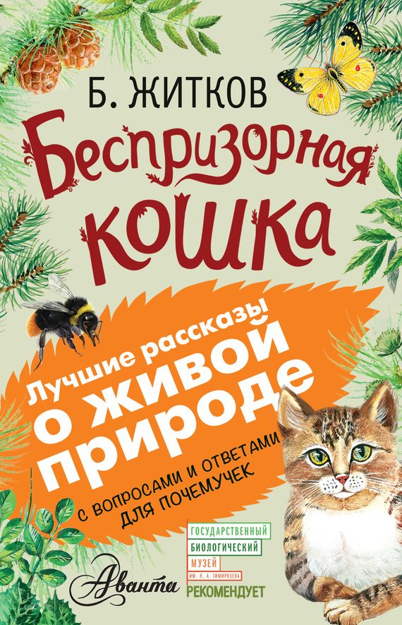 Обложка книги «Беспризорная кошка»
