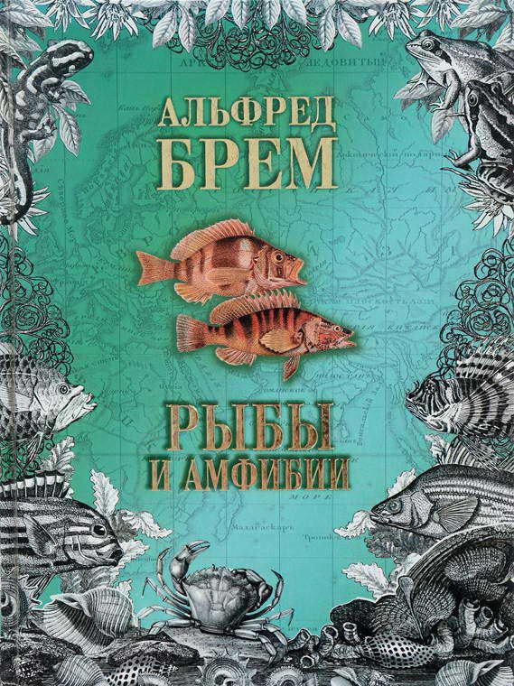 Обложка книги «Жизнь животных. Рыбы и амфибии»