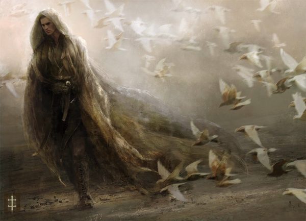 Обложка книги «Предназначение»