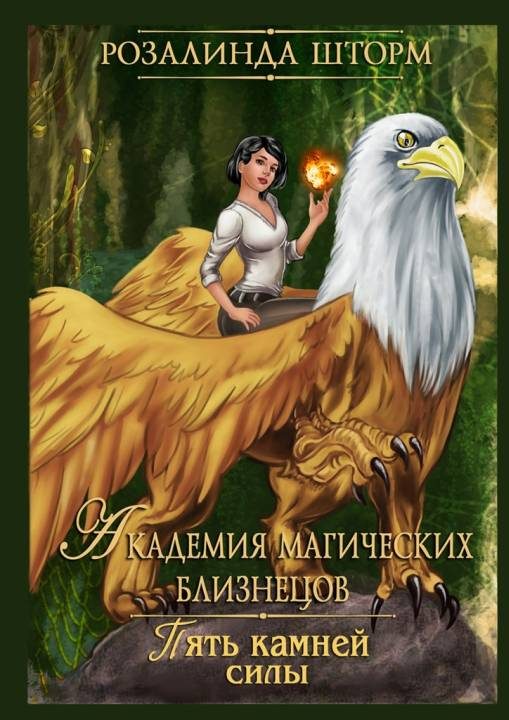 Обложка книги «Пять камней силы»