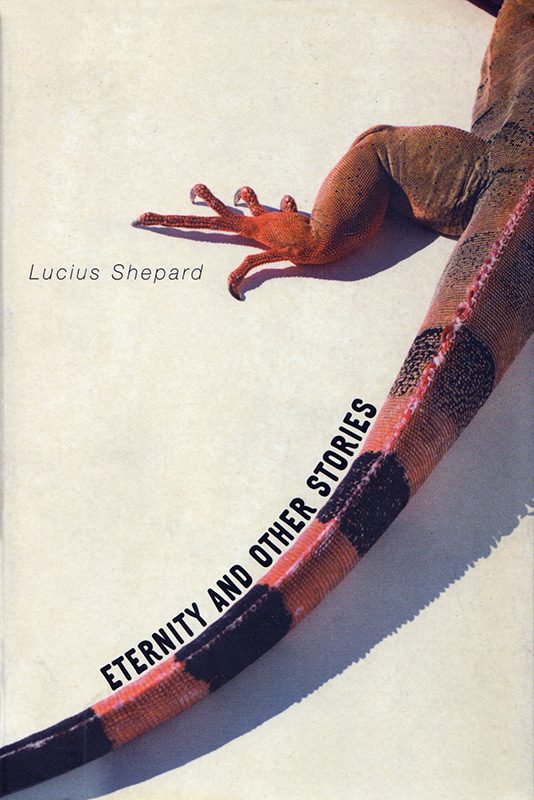 Обложка книги «Eternity and Other Stories»
