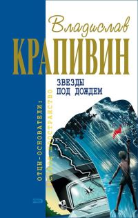 Обложка книги «Звёзды под дождём»