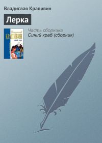 Обложка книги «Лерка»