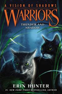 Обложка книги «Thunder And Shadow»