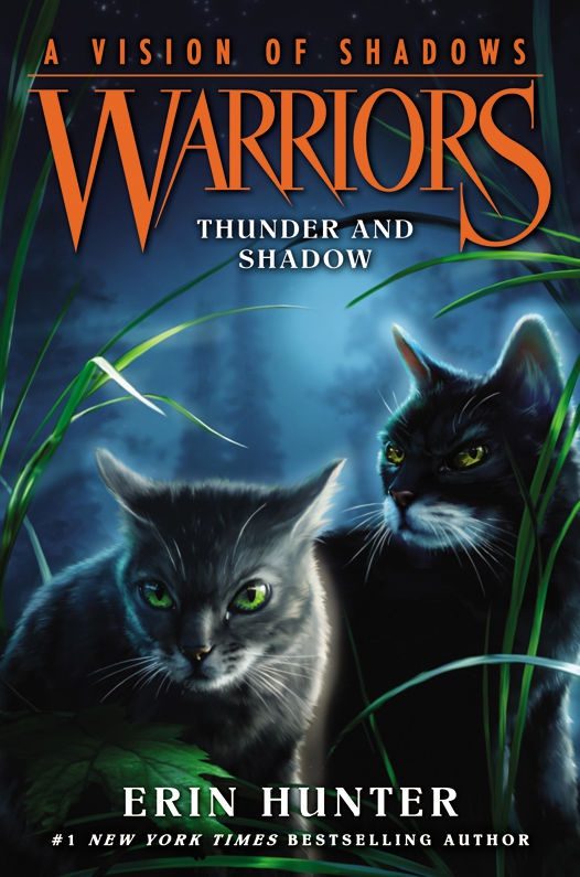 Обложка книги «Thunder And Shadow»