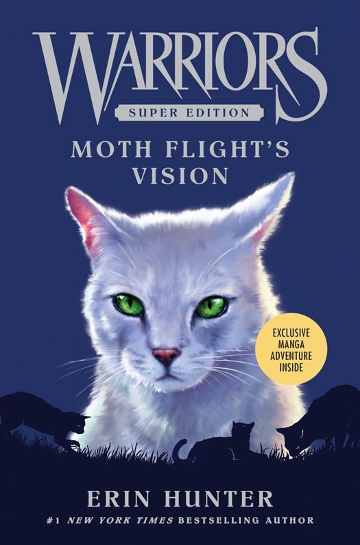Обложка книги «Moth Flight’s Vision»
