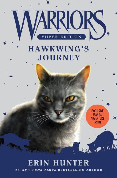 Обложка книги «Hawkwing’s Journey»