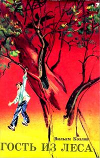 Обложка книги «Гость из леса»