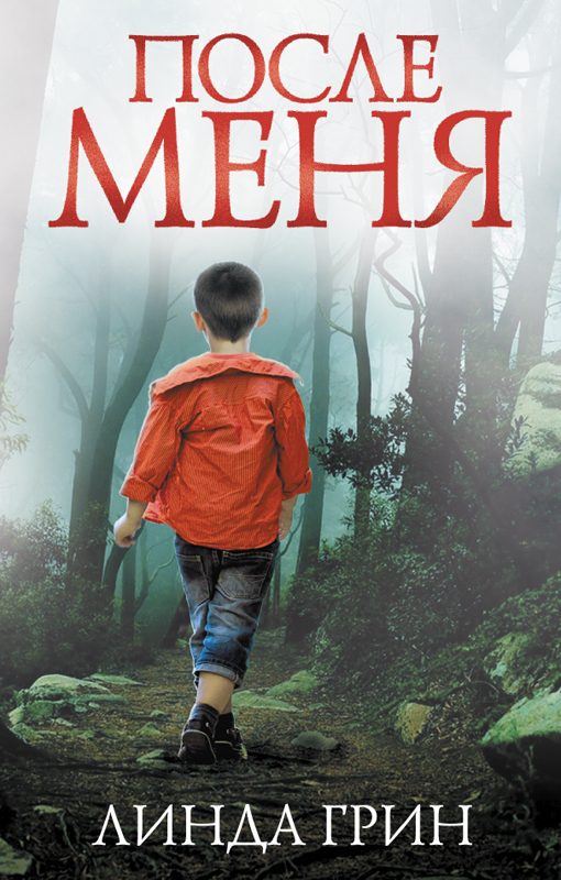 Обложка книги «После меня»