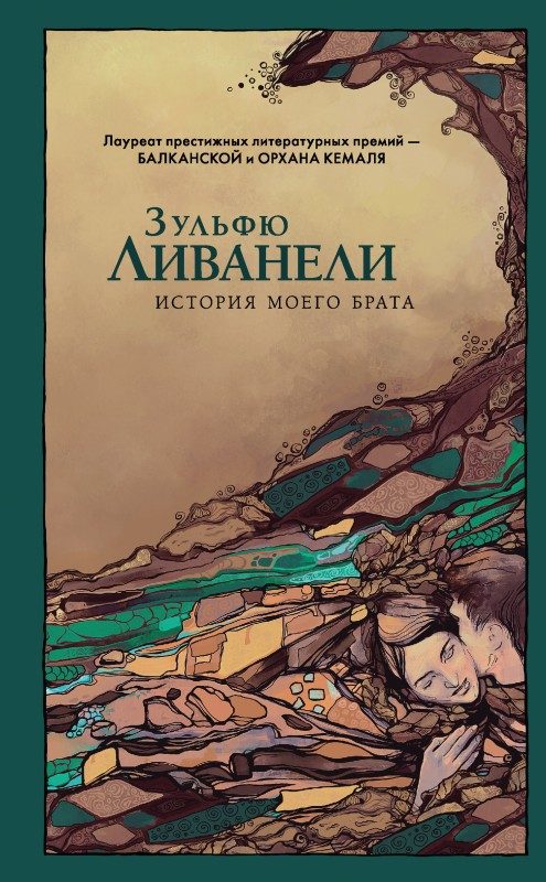 Обложка книги «История моего брата»