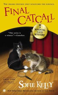 Обложка книги «Final Catcall»