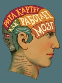 Обложка книги «Как работает мозг»