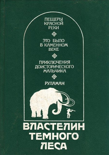 Обложка книги «Властелин Темного Леса»