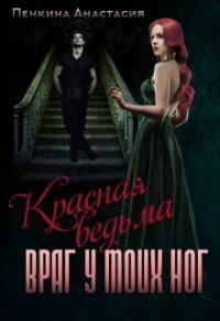 Обложка книги «Враг у моих ног»