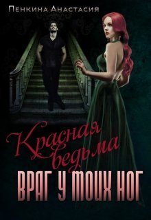 Обложка книги «Враг у моих ног»