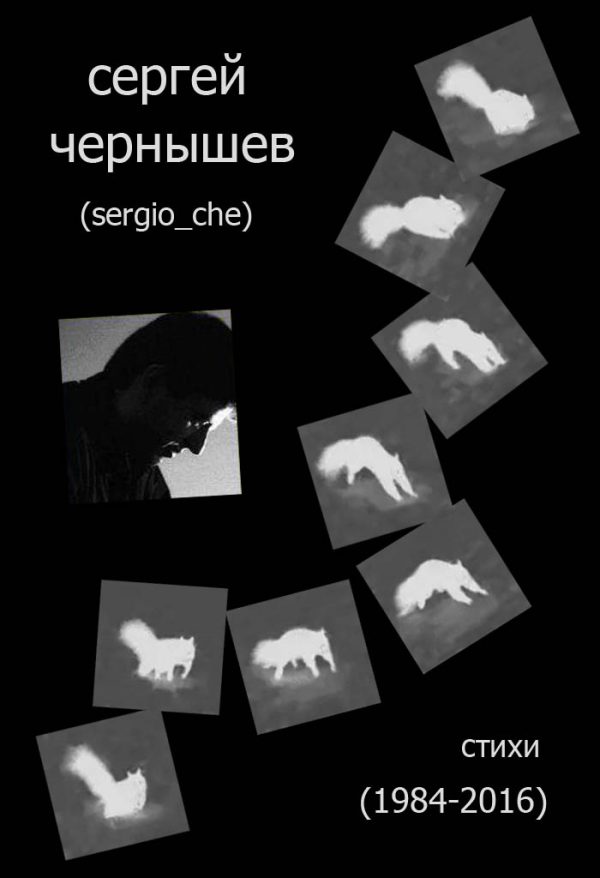 Обложка книги «Стихи 1984 – 2016»