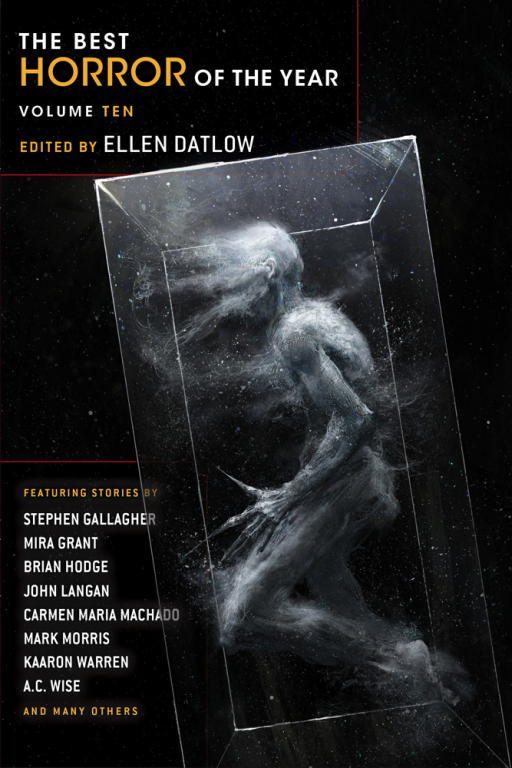 Обложка книги «The Best Horror of the Year Volume Ten»