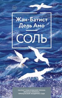 Обложка книги «Соль»