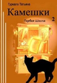 Обложка книги «Первая Школа»