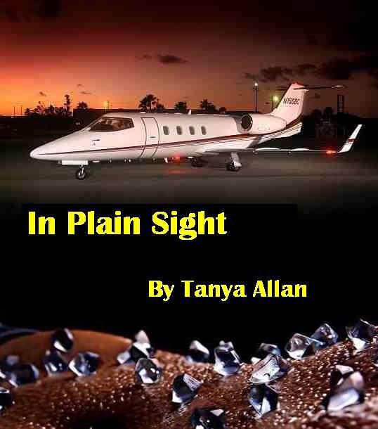 Обложка книги «In Plain Sight»