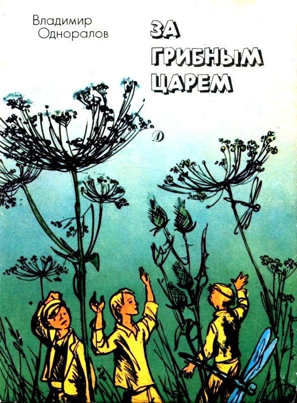 Обложка книги «За грибным царем. Рассказы и повесть»
