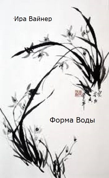 Обложка книги «Форма воды»