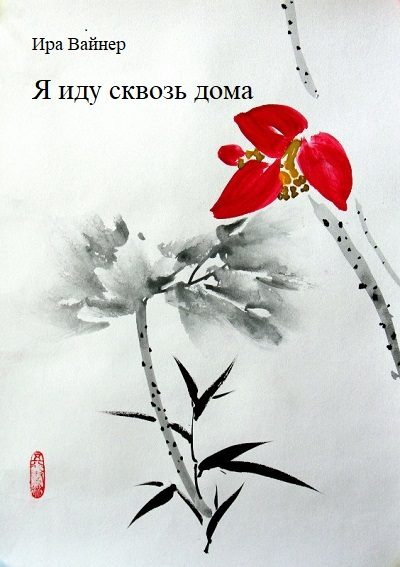 Обложка книги «Я иду сквозь дома»