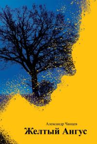 Обложка книги «Желтый Ангус»