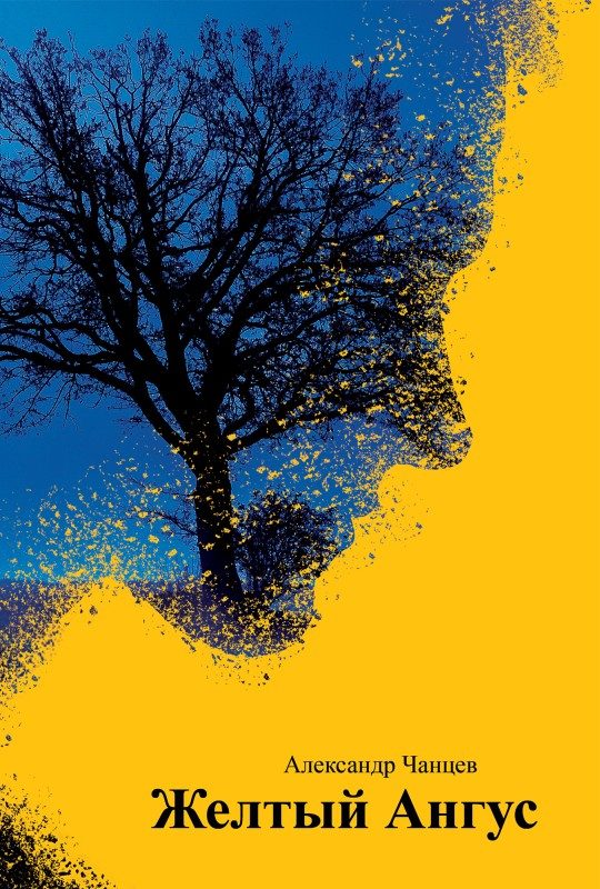 Обложка книги «Желтый Ангус»