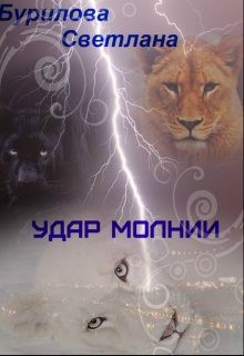 Обложка книги «Удар молнии (СИ)»