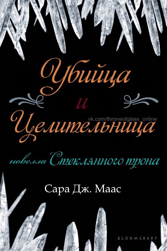 Обложка книги «Убийца и целительница»
