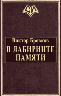 Обложка книги «В лабиринте памяти»
