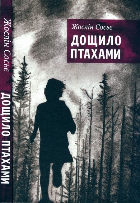 Обложка книги «Дощило птахами»