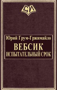 Обложка книги «Вебсик. Испытательный срок»