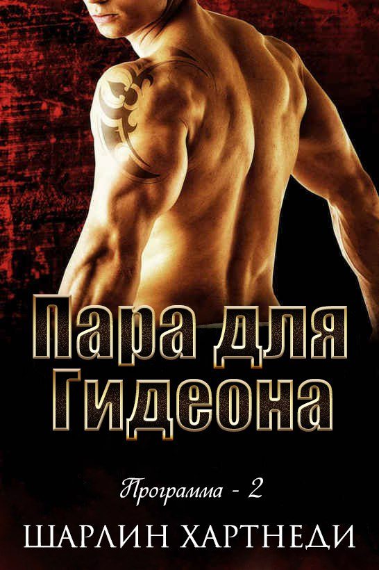 Обложка книги «Пара для Гидеона»