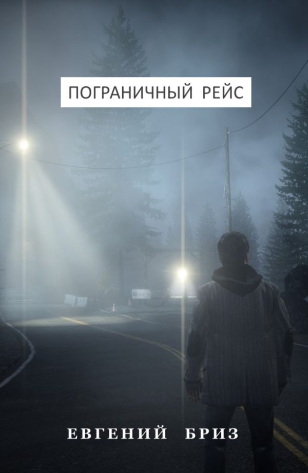 Обложка книги «Пограничный рейс»