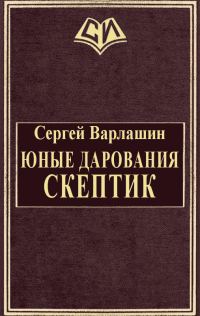 Обложка книги «Скептик»