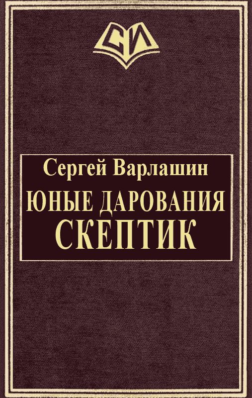 Обложка книги «Скептик»