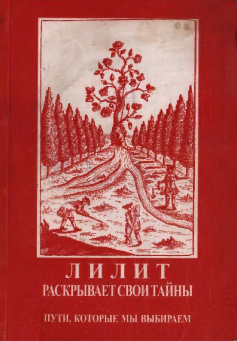 Обложка книги «Лилит раскрывает свои тайны: Пути, которые мы выбираем»