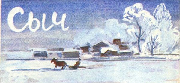 Обложка книги «Сыч»