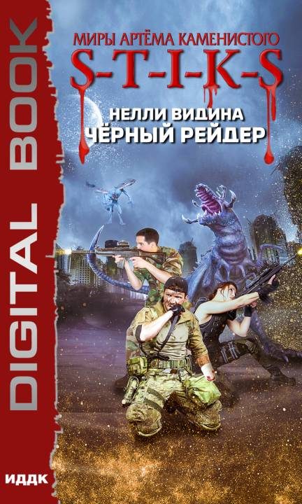 Обложка книги «Чёрный рейдер»