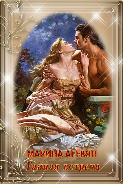 Обложка книги «Тайная встреча»