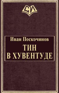 Обложка книги «Тин в Хувентуде»