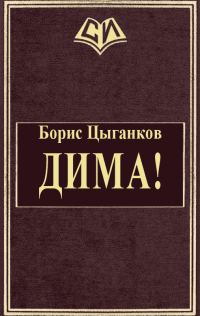 Обложка книги «Дима!»
