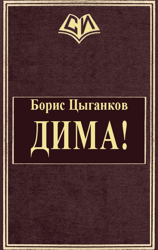 Обложка книги «Дима!»