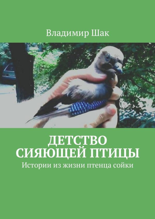 Обложка книги «Детство сияющей птицы. Истории из жизни птенца сойки»